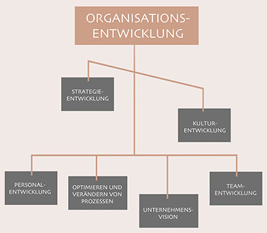 Systemische-Organisationsentwicklung-durch-Julia-David-und-Team